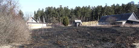 Ugnis iš pievos pasileido į sodybą